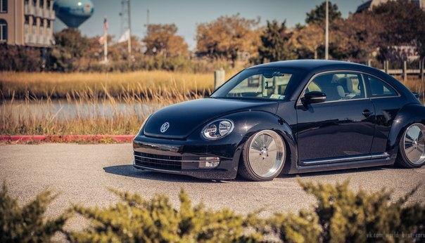 Volkswagen Beetle - 3