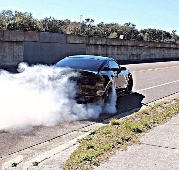 2014 Shelby GT500. - 5