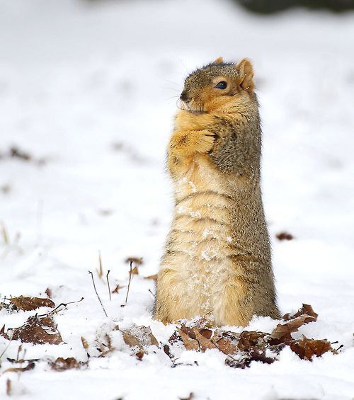    - 28  2014  11:01 - 2