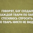 ���� �������, �����-��������� - ��������� 21 �������� 2014 � ������ ������ ��������