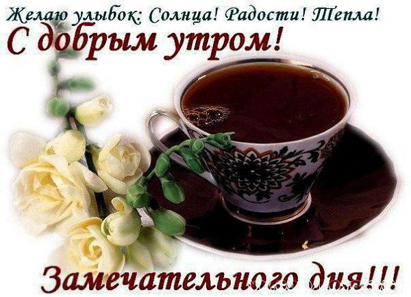 Между нами тысячи и километров, и преград, С добрым утром пожелать тебя я всё же рад. Прохлада утра ... - 2