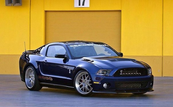     Ford Mustang! Shelby 1000  Bugatti Veyron.     ...