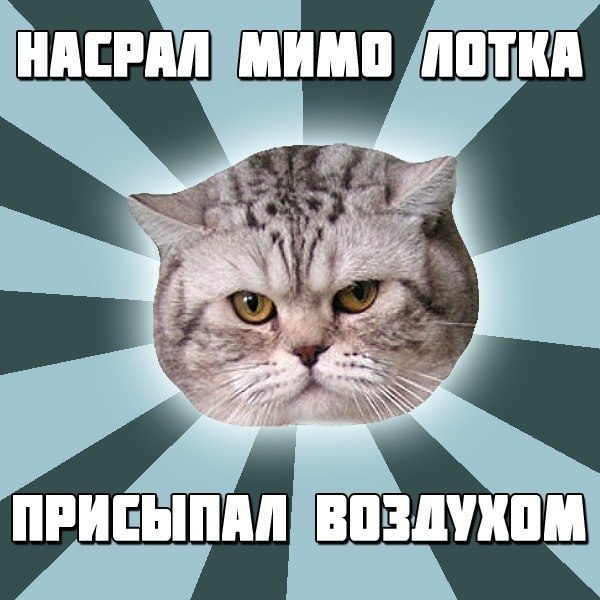  - 24  2014  13:13