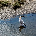 �������� 2014. ����������� �����) �� ������� ������� ��������)))�