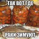 ������ �� ������� ���� ����������