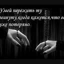 ���� �����, �����-��������� - ��������� 8 �������� 2014 � ������ ������ ��������