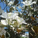 Portygaliia �� ������� ���� ����������
