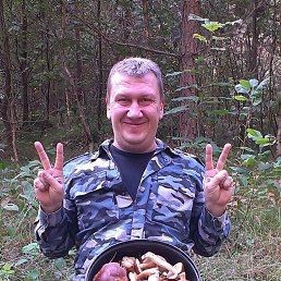 ���� �������, �����������, 54 ���� - ��������� 13 ������� 2014