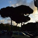 ���� ������, �����, 59 ��� - ��������� 23 �������� 2014 � ������ ���� ����������
