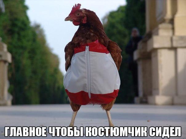    :D - 26  2014  08:44