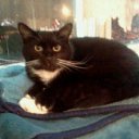  Elenka))) 219,  -  9  2014    -  .