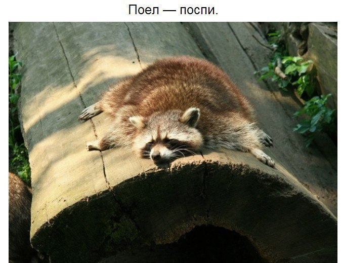     - 3