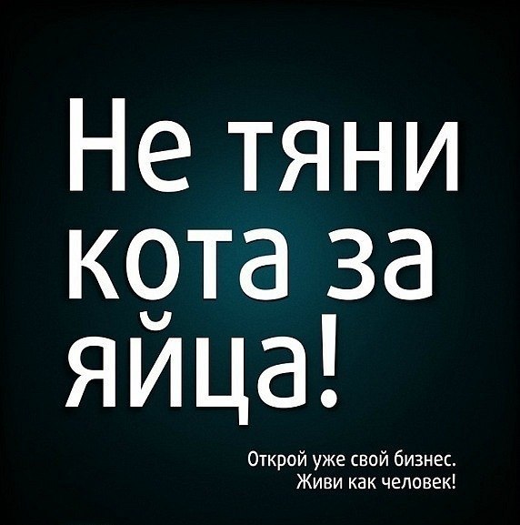  :   ,   : , ,    - 13  2014  18:38 - 2