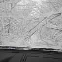 ��� ������ �������� �� ������� ���� ����������