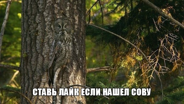    :D - 3  2014  23:53