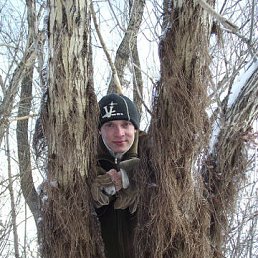 ���� �������, ���������, 41 ��� - ��������� 2 ������� 2014