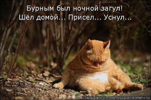 ��� ������� �������� ���� �����, ������� ���, ��� ���� �������?! � �� ������, ��� ����� ��� ...