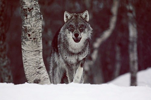 �� ������ ������ � ����, �������� � �� �������, ����� � ���� �� ����� ����� � ��� � ���� ���.