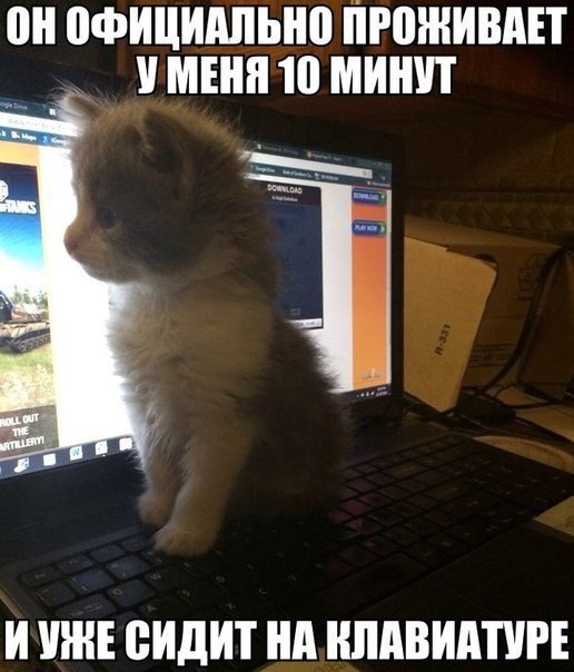  - 19  2014  19:37
