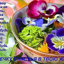���� �����, ����� - ��������� 22 ������ 2014 � ������ ������ ��������