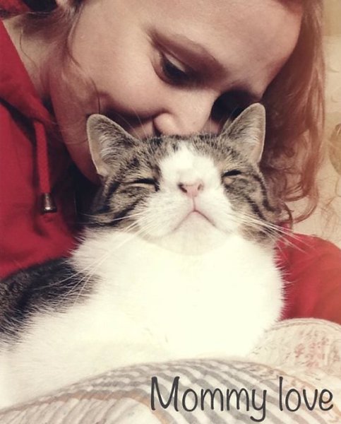 ,    ."    .      ... - 10