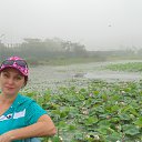 ���� �����, ����� ������, 58 ��� - ��������� 14 ������ 2014 � ������ ���� ����������