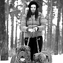 ������ �� ������ � ����� ������ ����� ������, �� ������� ������� �� ������ � ����� ������ ����� ������,�