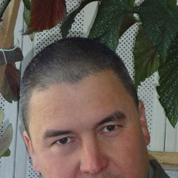 ������, ����-���, 50 ���