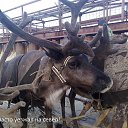 ���� Vadim, ����-������� - ��������� 18 ������� 2014 � ������ ���� ����������