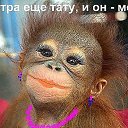 Vell,  -  22  2014    