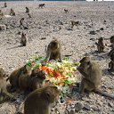 ���� �������, ������, 48 ��� - ��������� 4 ������� 2014 � ������ ���� ����������