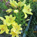 ���� �����, �����������, 66 ��� - ��������� 22 �������� 2014 � ������ �������