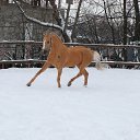 ���� �������, ��������, 53 ���� - ��������� 4 ������� 2014 � ������ ������ ��������