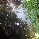 ���� ���������, ����� - ��������� 10 ������� 2014 � ������ ���� ����������