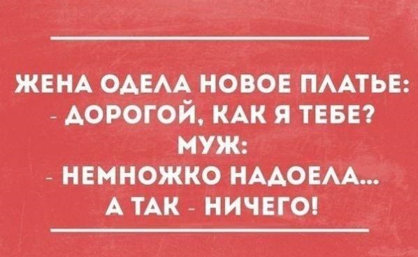 Z! - 11  2014  14:25