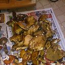 ���� ��������, �����-���������, 65 ��� - ��������� 21 �������� 2014 � ������ �������