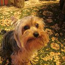 ���� �� ������� ����������� �����,���� � �����