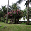 ������� �� ������� ��������-2013�