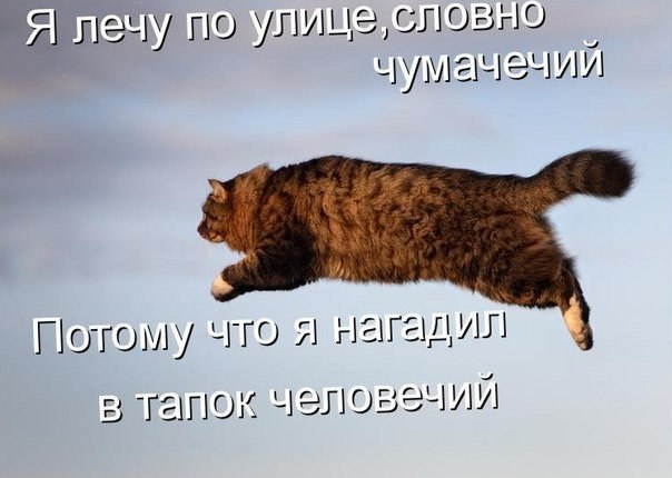   - 2  2014  08:01
