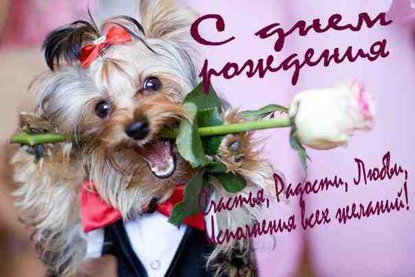 9   85     -    , ... - 3