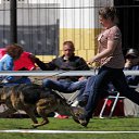        - 07.06.2014     - 2014