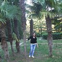 ���� �������, ��������, 43 ���� - ��������� 17 ������� 2014 � ������ ���� ����������