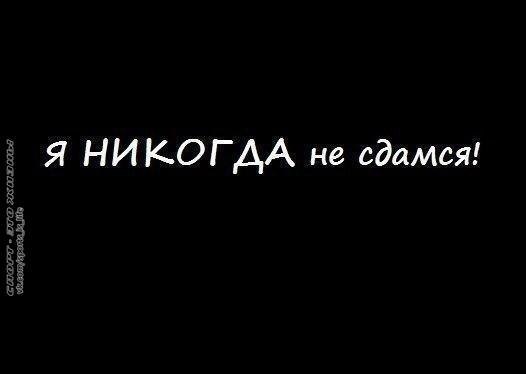  -   - 8  2014  16:45