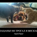 ���� �����, ������, 34 ���� - ��������� 27 �������� 2014 � ������ ������ ��������