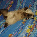  N..., , 47  -  16  2014       )))