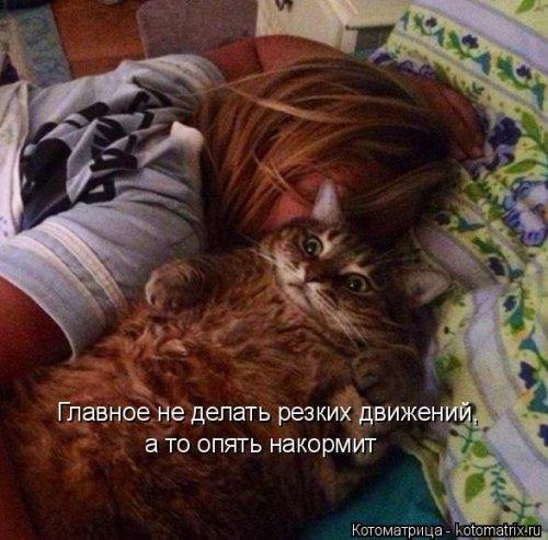 �������������� �� ���: <a href=