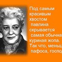 ���� N, ������-��-���� - ��������� 21 �������� 2014