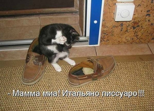 ������� - 5 ������� 2014 � 13:47 - 2