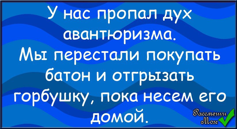 Увлечься как пишется. Шутки про гарем. Анекдоты про гарем. Анекдоты про гарем и Султана. Анекдот про мужской гарем.