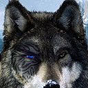 , , 24  -  22  2014   PetLove